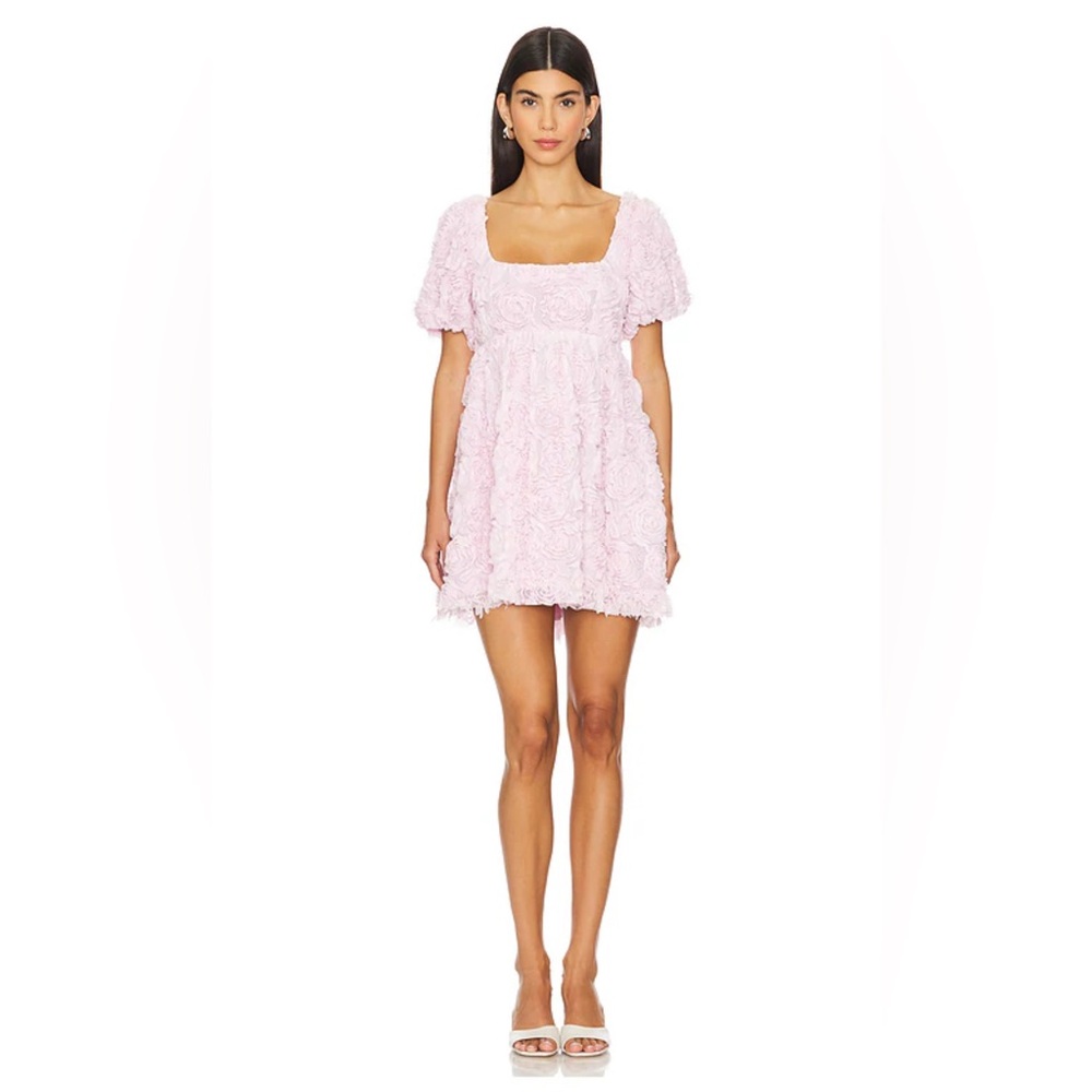 NWT Show Me Your Mumu Smitten Baby Doll Dress in Rosette Mesh Pink, XS